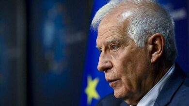 בורל: האסון בעזה חרג מכל הגבולות