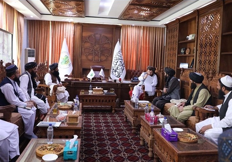 הקמת ועדה מיוחדת לגידול אלטרנטיבי של פרג באפגניסטן