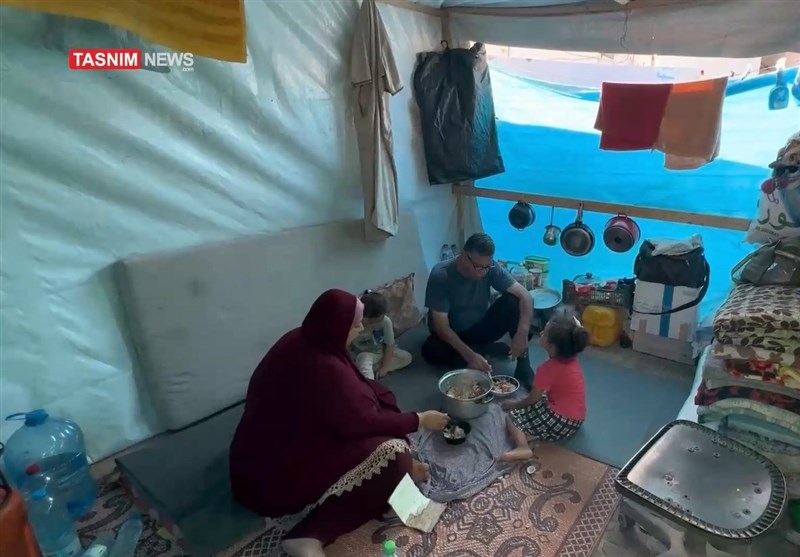 הקרב המתיש של פליטי עזה בחום ובשרצים