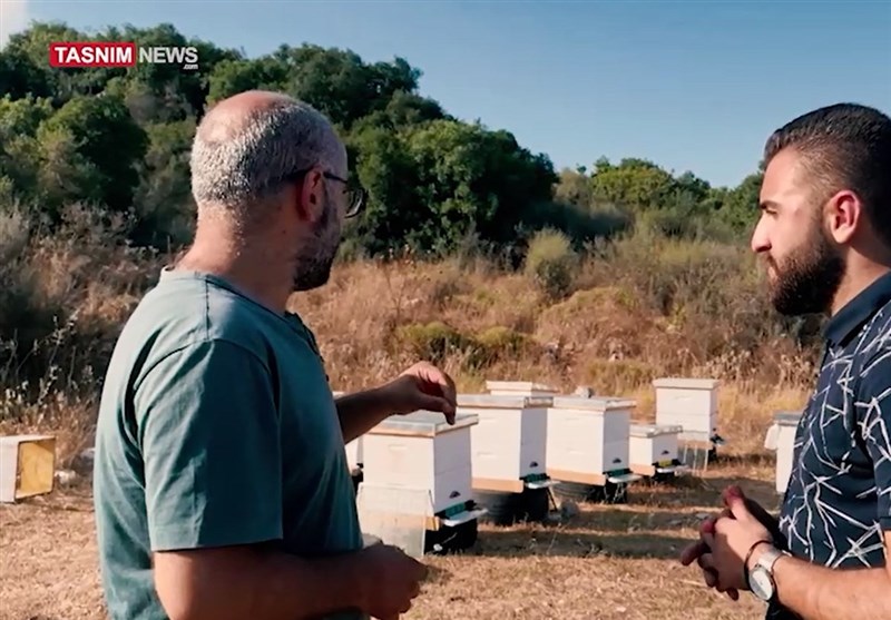 התנגדות עממית וחברתית בנוסח תושבי דרום לבנון