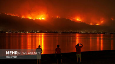 השריפות האיומות בקליפורניה כילו גם את בתיהם של כוכבי הוליווד