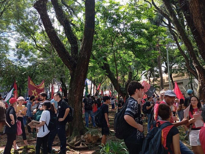 יום העולמי העולמי מרץ בברזיל+ סרטים ותמונות