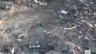 סרטון של פגר המל”ט בארה”ב בתימן+ סרט