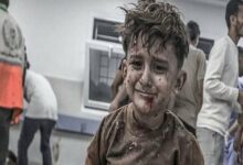 کمیته ارجاع غزه خواستار سازوکار خروج مجروحان و بیماران شد /עזה , בריאות , פצועים , מבוגרים , מעבר רפיח