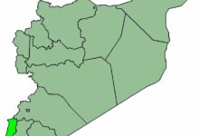 צבא ישראל עוצר רועה סורי בגבול דרום המדינה וגונב את עדרו /ישראל , סוריה , קוניטרה , גבול , עצורים