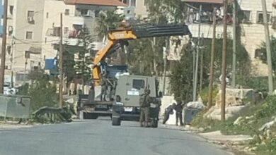 הסלמת הדיכוי של המתנחלים נגד הפלסטינים בגדה המערבית /גדה המערבית , פלסטינים , מתנחלים , עצי זית , דיכוי