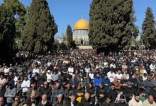 80 אלף פלסטינים התפללו במסגד אל-אקצא ביום שישי הראשון של הרמדאן /מסגד אל-אקצא , רמדאן , פלסטינים , ירושלים , עזה