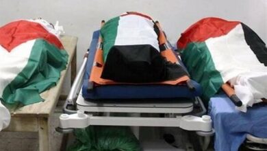 גופות של 54 פלסטינים שהוצאו להורג הועברו לבית החולים אל-שפא בעזה /עזה , פלסטינים , המשטר הציוני , אל-שפא , קורבנות