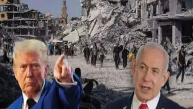 ועדת השלום לעזה מטעם טראמפ מתמודדת עם תגובות שליליות /דונלד טראמפ , עזה , ועדת שלום , הסכסוך הישראלי-פלסטיני , מדיניות חוץ