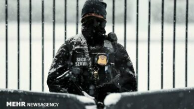 חמוש נהרג מחוץ למתחם טראמפ בפלורידה לאחר שניסה לפרוץ /דונלד טראמפ , מיי-לאגו , השירות החשאי , פלורידה , ארצות הברית