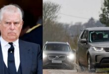 רוסיה: מערכת המשפט בבריטניה הייתה צריכה לטפל בבעיותיה מזמן /בריטניה , רוסיה , מריה זכרובה , ג'פרי אפשטיין , הנסיך אנדרו