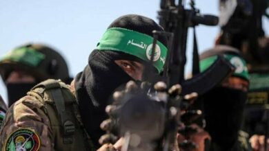 Israeli Regime's Intelligence Failure in Gaza Strip Exposed by Analyst /Israel , Gaza , Hamas , intelligence failure , Middle East