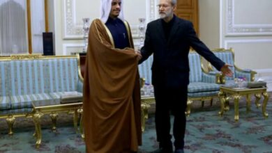 Qatar Prime Minister Discusses Regional Tensions with Iran's Security Chief /Qatar , Iran , regional tensions , diplomacy , Middle East