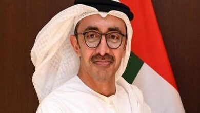 UAE Foreign Minister Hails Russia-Ukraine Talks as Productive /Russia-Ukraine war , UAE diplomacy , peace talks , international relations , Middle East mediation