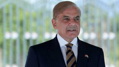 Pakistan Army Prepared to Crush Any Aggression, Says Prime Minister Sharif /Pakistan , Afghanistan , Shehbaz Sharif , military , security