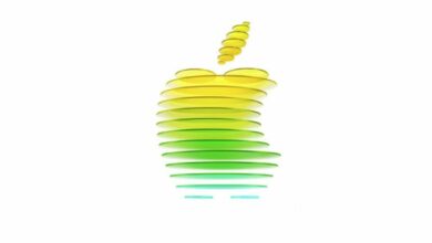 Apple Poised to Unveil at Least Five New Products in Early March /Apple , new products , MacBook , iPhone , iPad Air