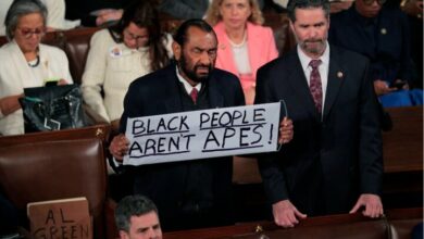 US House Member Ejected Over Anti-Trump Protest Sign /US House , Donald Trump , Al Green , protest , racism