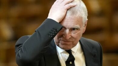 UK Government Considers Bill to Remove Prince Andrew from Succession Line /Prince Andrew , King Charles III , Royal Family , UK Government , Succession Line