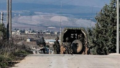 Israeli Forces Attack Syrian Children, Steal Livestock in Quneitra /Syria , Israel , Quneitra , Children , Livestock