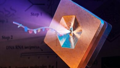 Arizona State University Researchers Unveil DNA Breakthrough for Ultra-Dense Data Storage and Molecular Cryptography /DNA storage , molecular cryptography , ASU research , nanotechnology , data security