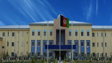 Taliban Rejects UN Report on Rising Drug Use in Afghanistan /Taliban , Afghanistan , UNODC , drug abuse , synthetic drugs