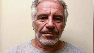 European Lawyer Claims Epstein Emails Detail Funds Transfer to Ukraine /Jeffrey Epstein , Ginger Chapman , Ukraine War Funding , Donald Trump , Benjamin Netanyahu