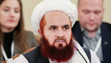 Afghanistan Seeks Active Participation in Shanghai Cooperation Organization /Afghanistan , Shanghai Cooperation Organization , SCO , diplomacy , Taliban