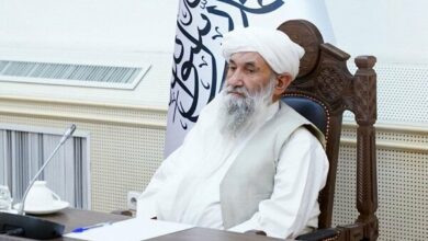 Taliban Government Seeks Expanded Ties with Turkmenistan /Taliban , Afghanistan , Turkmenistan , Mohammad Hassan Akhund , International Relations