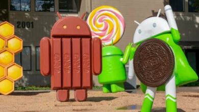 Android Version Statues Adorn Google Campus /Android , Google , technology , operating system , statues