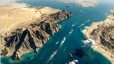 Report Claims LNG Carrier Transited Strait of Hormuz Amid Iran-US Deal /Strait of Hormuz , LNG carrier , Iran , United States , maritime transit