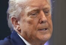 Trump: Lebanon Not Part of Iran Deal /Donald Trump , Iran , Lebanon , United States , NBC News