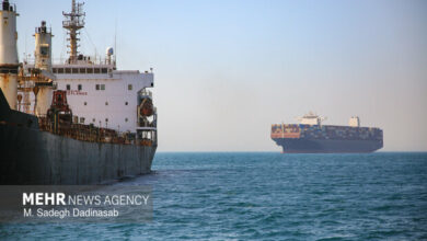 Most Ships Utilize Iran-Controlled Route in Strait of Hormuz, Says IMO Chief /Strait of Hormuz , Maritime Safety , IMO , Iran , Shipping