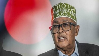 Hamas Condemns Somaliland Leader's Visit to Occupied Territories /Hamas , Somaliland , Israel , Jerusalem , Occupied Territories