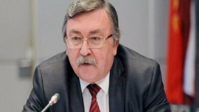 West's Silence Normalizes Nuclear Facility Attacks, Says Ulyanov /nuclear facilities , Iran , Bushehr , IAEA , Mikhail Ulyanov