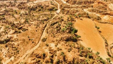 BRICS Nations Urged to Collaborate on Green Investments to Combat Global Drought Crisis /BRICS , Drought , Desertification , Green Investment , Water Management