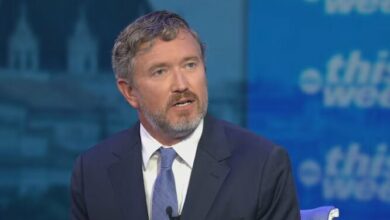 US Lawmaker Urges Aid Cut to Israel for Immediate Peace /US aid to Israel , Thomas Massie , Middle East peace , Benjamin Netanyahu , Strait of Hormuz