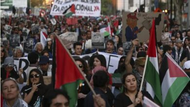 Chilean Petition Gathers 80,000 Signatures Calling for Israel's UN Expulsion /Chile , Israel , United Nations , Human Rights , International Law