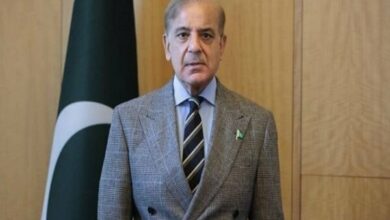 Pakistan's Prime Minister Shahbaz Sharif Decries Double Standards on Ballistic Missiles /Shahbaz Sharif , Iran , Pakistan , Ballistic Missiles , Regional Peace