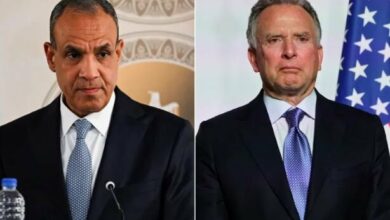Egypt's Foreign Minister Discusses Iran-US Talks with US Envoy /Egypt , Iran , United States , Negotiations , Middle East