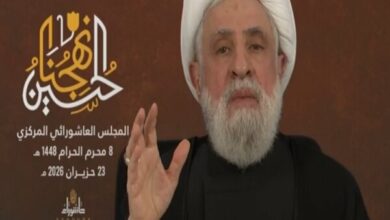 Hezbollah's Naeem Qassem Affirms Support for Taif Agreement /Hezbollah , Lebanon , Taif Agreement , Naeem Qassem , Constitution