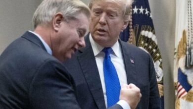 US Senator Graham Expresses Satisfaction with Strait of Hormuz Agreement /Lindsey Graham , Strait of Hormuz , Iran nuclear deal , US-Iran relations , diplomacy