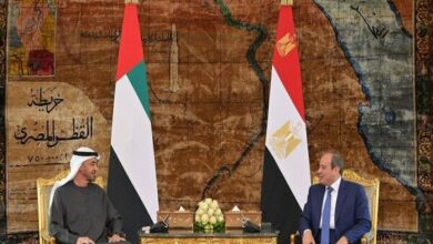 Egyptian President and UAE Leader Welcome Strait of Hormuz Opening /Egypt , UAE , Iran , Strait of Hormuz , Regional Security