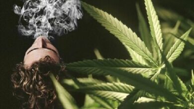 Israeli Society Grapples with Surge in Drug, Alcohol, and Sedative Use Amid Gaza Conflict /Israel , Gaza , drug use , alcohol consumption , mental health