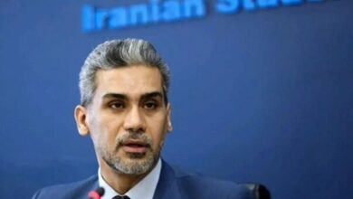Iraq Ambassador to Tehran Emphasizes Deepening Bilateral Ties with Iran /Iraq , Iran , Ambassador , Bilateral Relations , Regional Stability