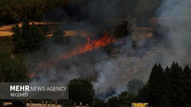 Unprecedented Wildfires Force Mass Evacuations Across Europe /wildfires , Europe , France , Spain , evacuations