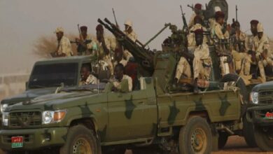 Amnesty International Alleges Widespread Atrocities by RSF in Sudan's El Fasher /Sudan , El Fasher , Rapid Support Forces , Amnesty International , war crimes