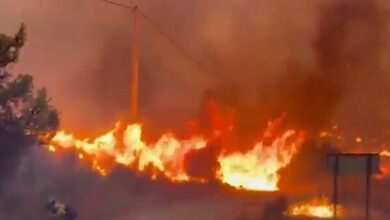 Wildfire in Spain Claims 12 Lives Amidst Ongoing Investigation /Spain , wildfire , deaths , power cable , investigation