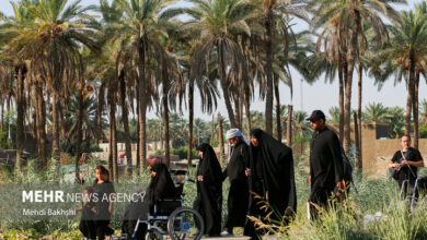 Iraqi Authorities Report Nearly 3 Million Arbaeen Pilgrims Entered Country /Arbaeen , Iraq , Pilgrims , Security , Muharram