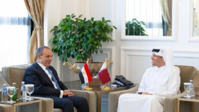 Qatar and Egypt Emphasize Diplomacy to De-escalate Regional Tensions /Qatar , Egypt , Diplomacy , Regional Tensions , Strait of Hormuz