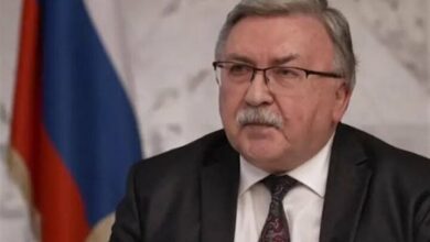 Russia Warns of Catastrophic Consequences for Any Attack on Iran's Bushehr Nuclear Power Plant /Russia , Iran , Bushehr Nuclear Power Plant , International Law , Persian Gulf